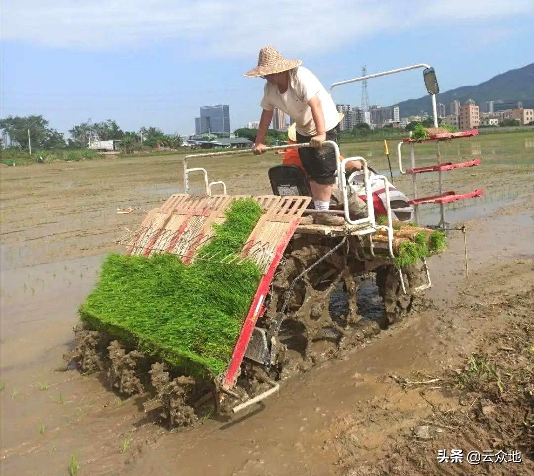 谷雨农事活动_谷雨农事活动图片_谷雨农事