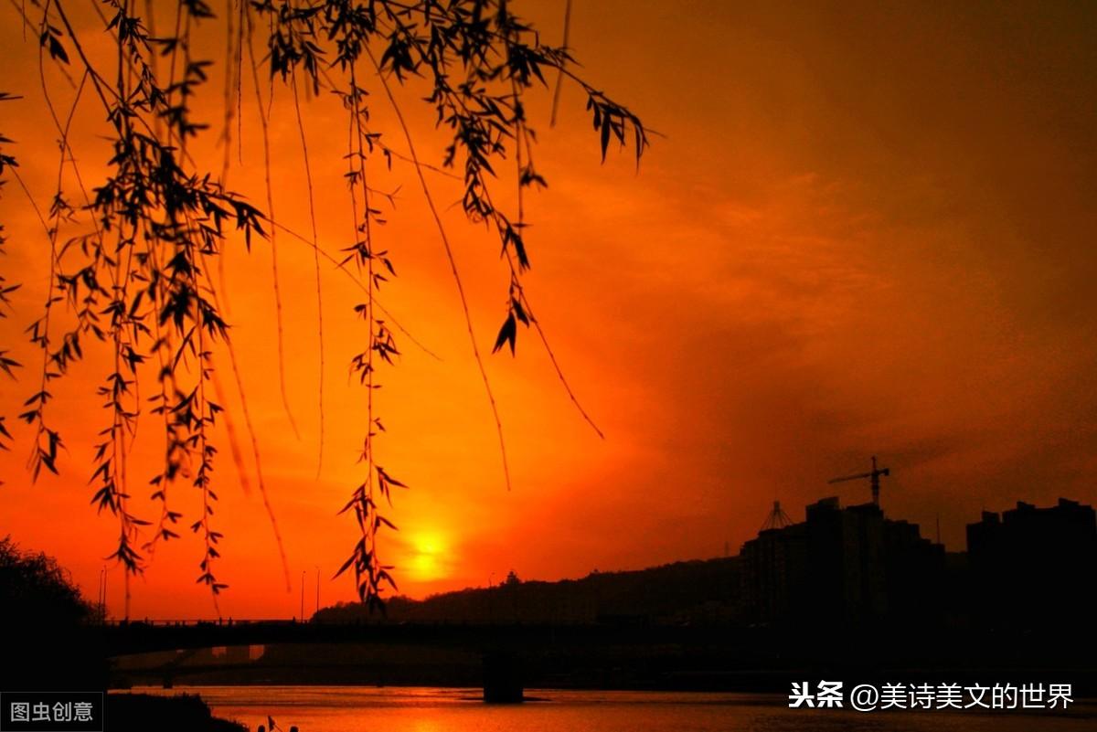 风雨凄凄上一句_风雨凄凄的意思_风雨凄凄