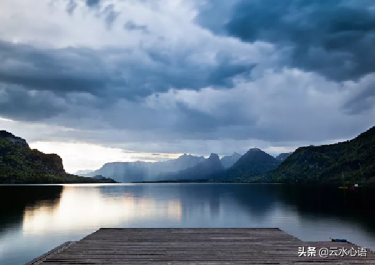 风雨凄凄_风雨凄凄的意思_风雨凄凄最孤独是什么动物