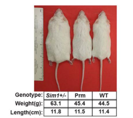 江苏生物基因工程_百奥赛图江苏基因生物技术有限公司_基因库江苏运营中心