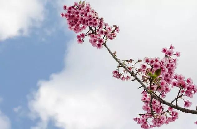 人在失意时做到宽容坦荡_失意懂得宽心要时间的句子_失意时要懂得心宽