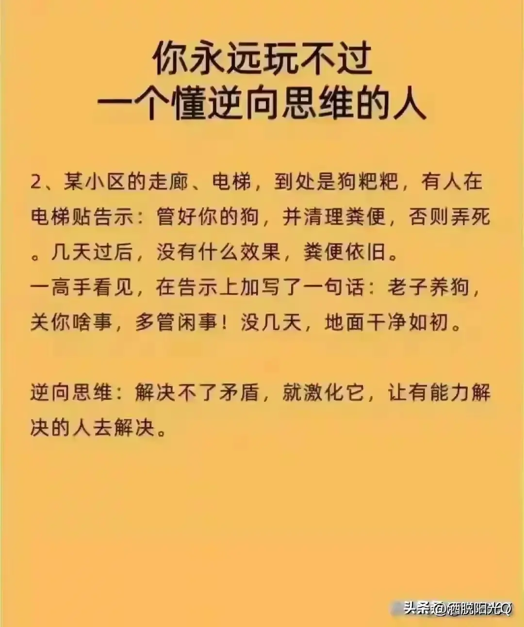 善于发现生活美的作文_善于发现生活中的美好的名言_善于发现生活中的美好