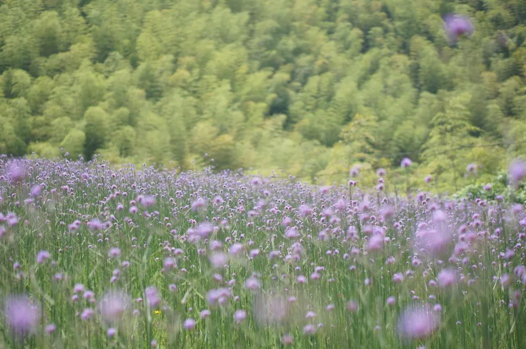 华丽的冒险视频_华丽的冒险歌曲_简单的生活何尝不是一场华丽的冒险