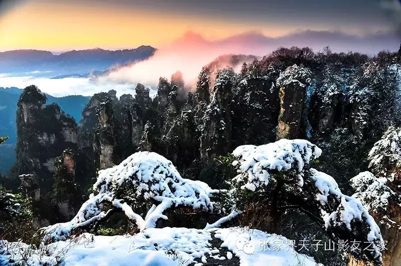 张家界旅游国际旅行社有限公司_张家界旅游国际旅行社_张家界中国旅行社有限责任公司