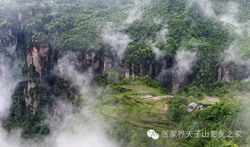 张家界中国旅行社有限责任公司_张家界旅游国际旅行社_张家界旅游国际旅行社有限公司