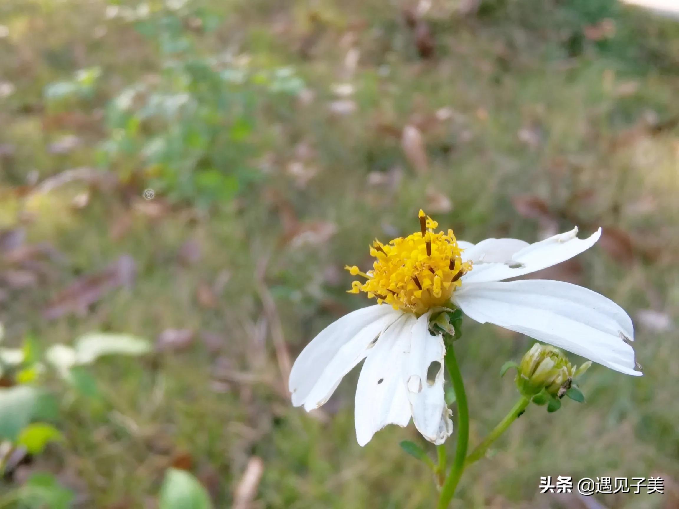 心生欢喜过生活_喜过生活心有欢是什么意思_心有欢喜过生活