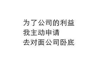 史上最有才华辞职信_王杰有才华吗_赞美女人有才华的话